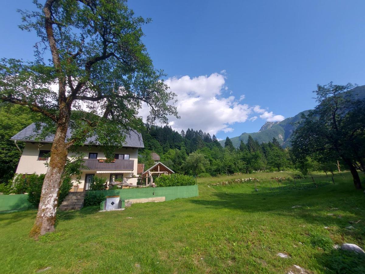 Apartmaji Katrc Соча Екстер'єр фото